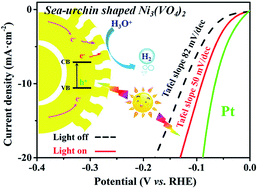 Graphical abstract: Photo-enhanced electrocatalysis of sea-urchin shaped Ni3(VO4)2 for the hydrogen evolution reaction