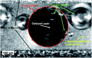 Graphical abstract: In situ investigation on ultrafast oxygen evolution reactions of water splitting in proton exchange membrane electrolyzer cells