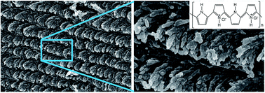 Graphical abstract: Chiroptical, morphological and conducting properties of chiral nematic mesoporous cellulose/polypyrrole composite films