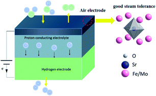 Graphical abstract: Intermediate-temperature solid oxide electrolysis cells with thin proton-conducting electrolyte and a robust air electrode
