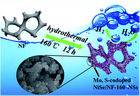 Graphical abstract: Morphological and electronic modulation of NiSe nanosheet assemblies by Mo, S-codoping for an efficient hydrogen evolution reaction