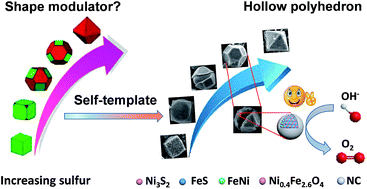 Graphical abstract: Hollow FeNi-based hybrid polyhedron derived from unique sulfur-modulating coordinated transition bimetal complexes for efficient oxygen evolution reactions