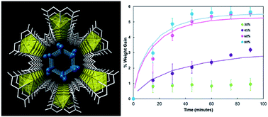 Graphical abstract: Diffusion and selectivity of water confined within metal–organic nanotubes.