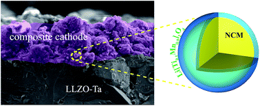 Graphical abstract: Enhanced electrochemical performance of bulk type oxide ceramic lithium batteries enabled by interface modification