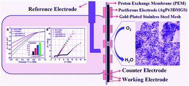 Graphical abstract: Bimetallic PtAg alloyed nanoparticles and 3-D mesoporous graphene nanosheet hybrid architectures for advanced oxygen reduction reaction electrocatalysts