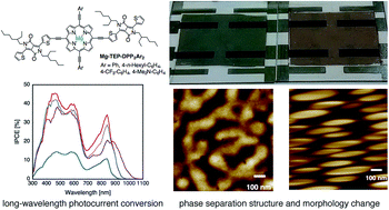 Graphical abstract: Substituent effects in magnesium tetraethynylporphyrin with two diketopyrrolopyrrole units for bulk heterojunction organic solar cells