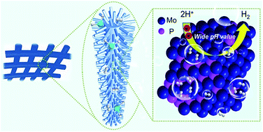 Graphical abstract: Iron-assisted engineering of molybdenum phosphide nanowires on carbon cloth for efficient hydrogen evolution in a wide pH range