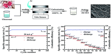 Graphical abstract: Expanded biomass-derived hard carbon with ultra-stable performance in sodium-ion batteries