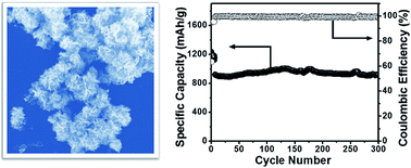 Graphical abstract: Engineering SnS2 nanosheet assemblies for enhanced electrochemical lithium and sodium ion storage