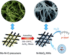 Graphical abstract: Integrated 3D self-supported Ni decorated MoO2 nanowires as highly efficient electrocatalysts for ultra-highly stable and large-current-density hydrogen evolution