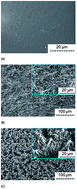 Graphical abstract: Electrochemical performance of silicon nanostructures in low-temperature ionic liquids for microelectronic applications