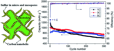 Graphical abstract: Facile and tailored synthesis of ultrahigh-surface-area clews of carbon nanobelts for high-rate lithium–sulfur batteries