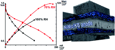 Graphical abstract: Platinum group metal-free NiMo hydrogen oxidation catalysts: high performance and durability in alkaline exchange membrane fuel cells