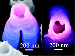 Graphical abstract: Large-diameter light-scattering complex multipodal nanotubes with graded refractive index: insights into their formation mechanism and photoelectrochemical performance