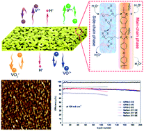 Graphical abstract: Polybenzimidazole membranes with nanophase-separated structure induced by non-ionic hydrophilic side chains for vanadium flow batteries