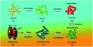 Graphical abstract: Oxygen vacancy mediated construction of anatase/brookite heterophase junctions for high-efficiency photocatalytic hydrogen evolution