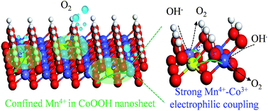 Graphical abstract: Strongly electrophilic heteroatoms confined in atomic CoOOH nanosheets realizing efficient electrocatalytic water oxidation