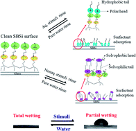 Graphical abstract: Smart zwitterionic sulfobetaine silane surfaces with switchable wettability for aqueous/nonaqueous drops