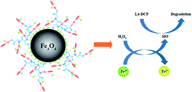 Graphical abstract: Glutathione-coated Fe3O4 nanoparticles with enhanced Fenton-like activity at neutral pH for degrading 2,4-dichlorophenol