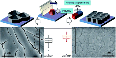 Graphical abstract: Manipulation of the crystallization of perovskite films induced by a rotating magnetic field during blade coating in air