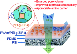 Graphical abstract: In situ synthesis of polymer grafted ZIFs and application in mixed matrix membrane for CO2 separation