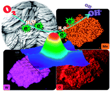 Graphical abstract: Tuning the MnWO4 morphology and its electrocatalytic activity towards oxygen reduction reaction