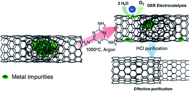 Graphical abstract: From the inside-out: leached metal impurities in multiwall carbon nanotubes for purification or electrocatalysis