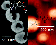 Graphical abstract: Fabrication of egg shell-like nanovesicles from a thiocoumarin-based ε-amino ester: a potential carrier