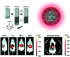 Graphical abstract: In vivo toxicological assessment of electrochemically engineered anodic alumina nanotubes: a study of biodistribution, subcutaneous implantation and intravenous injection