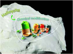 Graphical abstract: Covalently modified halloysite clay nanotubes: synthesis, properties, biological and medical applications