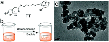 Graphical abstract: Lysosome-targetable polythiophene nanoparticles for two-photon excitation photodynamic therapy and deep tissue imaging