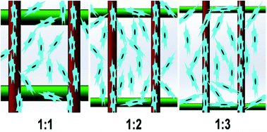 Graphical abstract: Control of cell proliferation in E-jet 3D-printed scaffolds for tissue engineering applications: the influence of the cell alignment angle