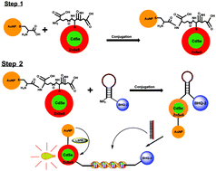 Graphical abstract: Bright luminescent optically engineered core/alloyed shell quantum dots: an ultrasensitive signal transducer for dengue virus RNA via localized surface plasmon resonance-induced hairpin hybridization