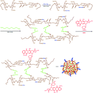 Graphical abstract: Facile preparation of pH/reduction dual-responsive prodrug nanohydrogels for tumor-specific intracellular triggered release with enhanced anticancer efficiency