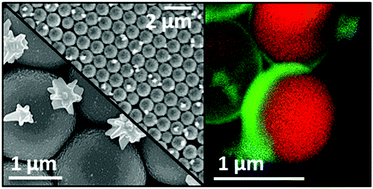 Graphical abstract: Nickel–gold bimetallic monolayer colloidal crystals fabricated via galvanic replacement as a highly sensitive electrochemical sensor