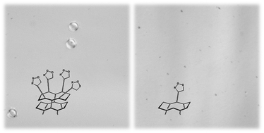 Graphical abstract: Development of a selective cell capture and release assay: impact of clustered RGD ligands