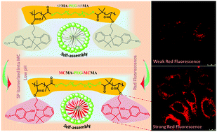 Graphical abstract: Dynamic intracellular tracking nanoparticles via pH-evoked “off–on” fluorescence