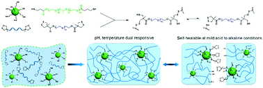 Graphical abstract: Injectable self-healing hydrogels formed via thiol/disulfide exchange of thiol functionalized F127 and dithiolane modified PEG