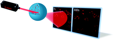 Graphical abstract: Improving the brightness and photostability of NIR fluorescent silica nanoparticles through rational fine-tuning of the covalent encapsulation methods