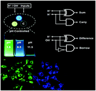 Graphical abstract: Fluorescent carbon dots with tunable emission by dopamine for sensing of intracellular pH, elementary arithmetic operations and a living cell imaging based INHIBIT logic gate