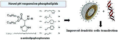 Graphical abstract: Synthesis of α-amino-lipophosphonates as cationic lipids or co-lipids for DNA transfection in dendritic cells