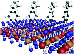 Graphical abstract: Defect-engineered TiO2 nanotube photonic crystals for the fabrication of near-infrared photoelectrochemical sensor