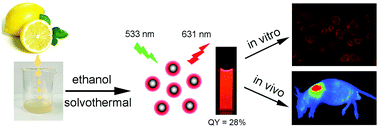 Graphical abstract: Facile synthesis of red-emitting carbon dots from pulp-free lemon juice for bioimaging