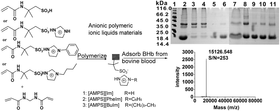 Graphical abstract: Preparation of novel anionic polymeric ionic liquid materials and their potential application to protein adsorption