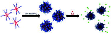 Graphical abstract: Thermoresponsive star-like γ-substituted poly(caprolactone)s for micellar drug delivery