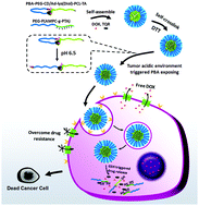 Graphical abstract: Reversible core-crosslinked nanocarriers with pH-modulated targeting and redox-controlled drug release for overcoming drug resistance