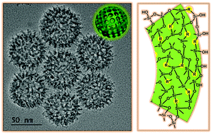 Graphical abstract: Biodegradable and biocompatible monodispersed hollow mesoporous organosilica with large pores for delivering biomacromolecules