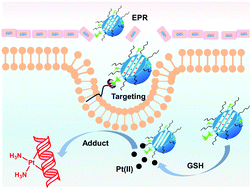 Graphical abstract: Mesoporous silica nanoparticles with lactose-mediated targeting effect to deliver platinum(iv) prodrug for liver cancer therapy