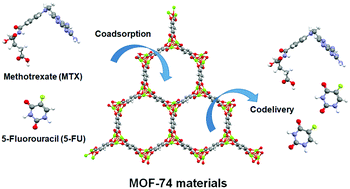 Graphical abstract: Computational investigation of metal organic frameworks for storage and delivery of anticancer drugs
