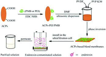 Graphical abstract: Fabrication of membrane absorbers based on amphiphilic carbonaceous derivatives for selective endotoxin clearance